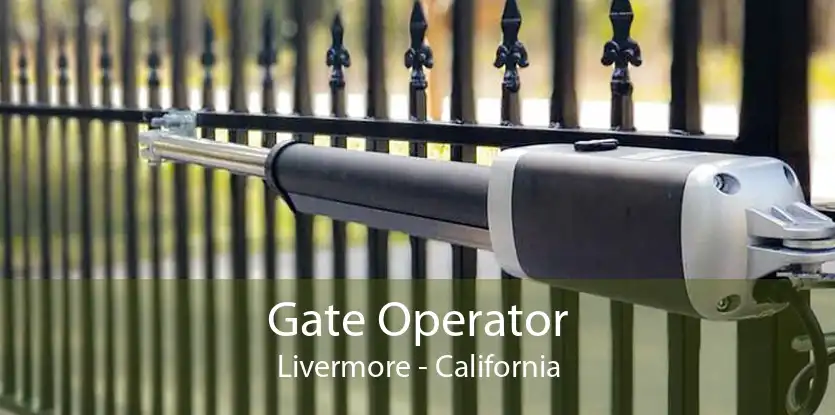 Gate Operator Livermore - California
