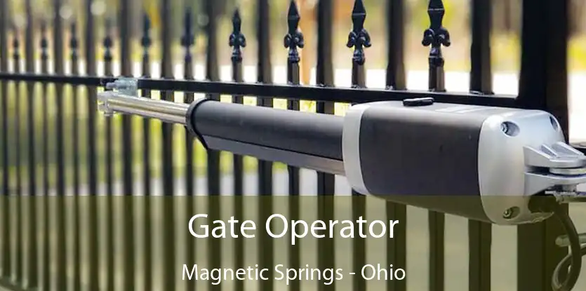 Gate Operator Magnetic Springs - Ohio