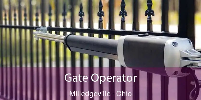 Gate Operator Milledgeville - Ohio