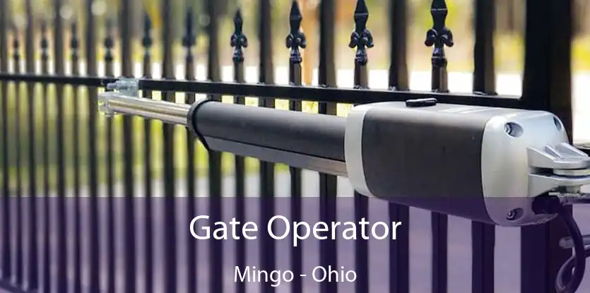 Gate Operator Mingo - Ohio