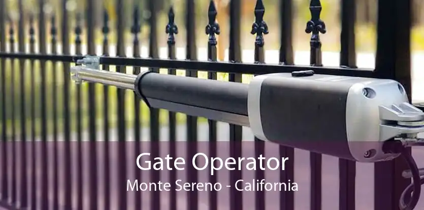 Gate Operator Monte Sereno - California