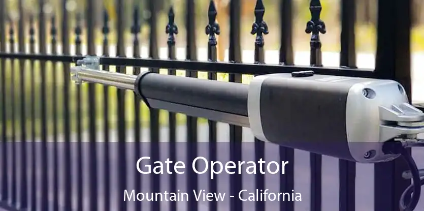 Gate Operator Mountain View - California