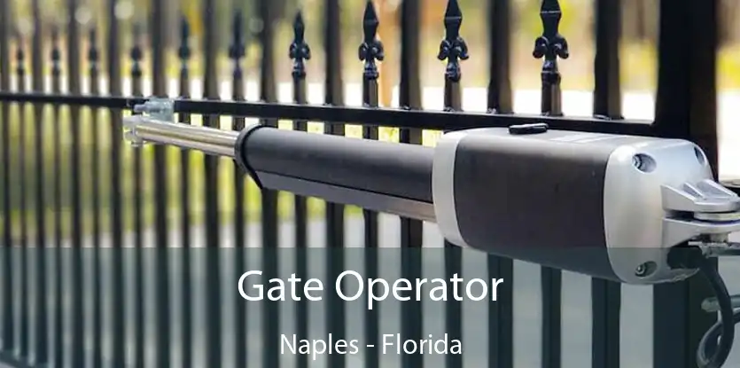 Gate Operator Naples - Florida