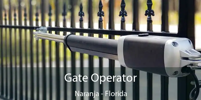 Gate Operator Naranja - Florida