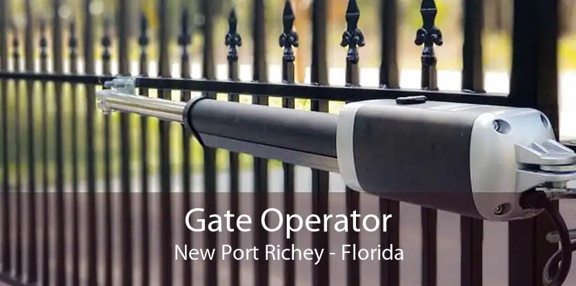 Gate Operator New Port Richey - Florida