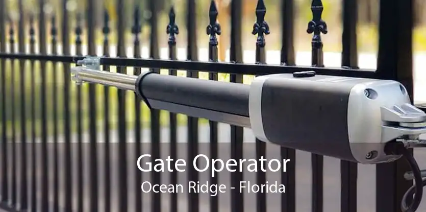 Gate Operator Ocean Ridge - Florida