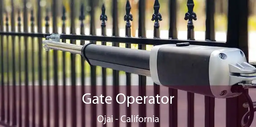 Gate Operator Ojai - California