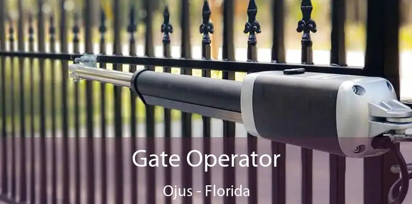 Gate Operator Ojus - Florida