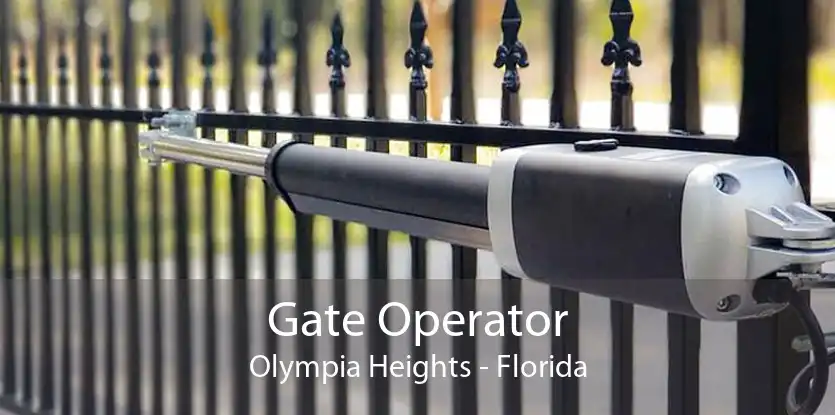 Gate Operator Olympia Heights - Florida