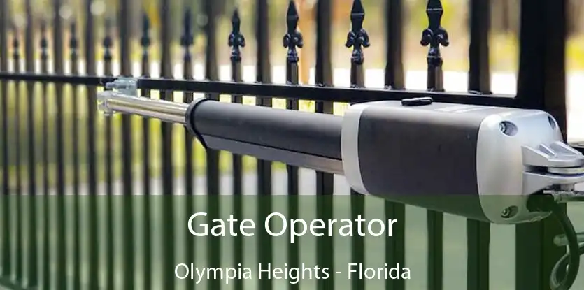 Gate Operator Olympia Heights - Florida