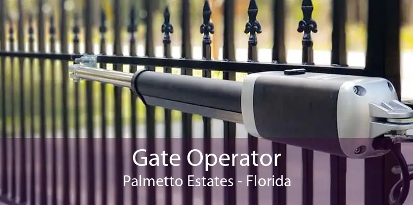 Gate Operator Palmetto Estates - Florida
