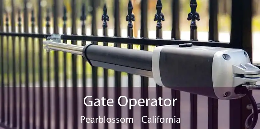 Gate Operator Pearblossom - California