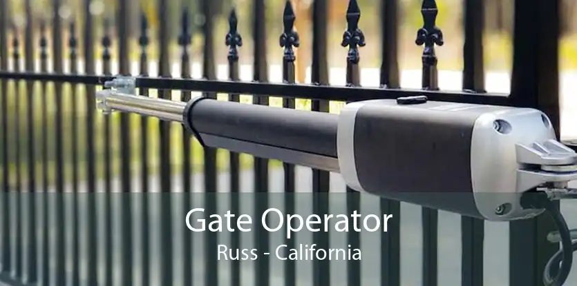 Gate Operator Russ - California
