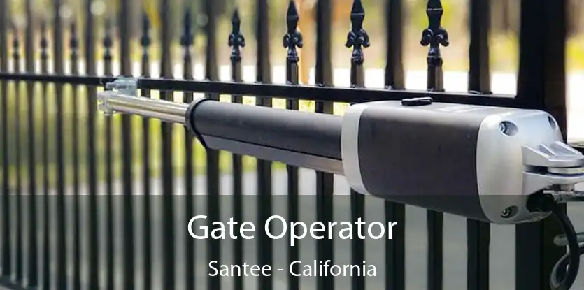 Gate Operator Santee - California