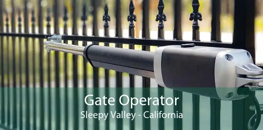 Gate Operator Sleepy Valley - California