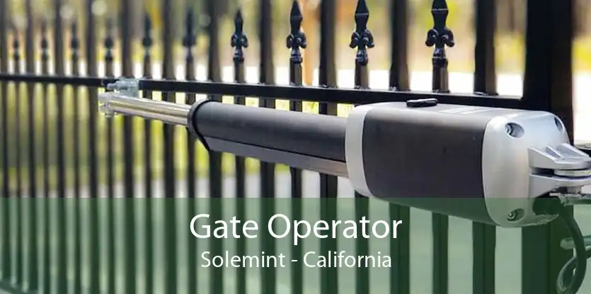 Gate Operator Solemint - California