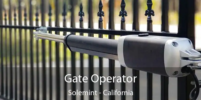 Gate Operator Solemint - California