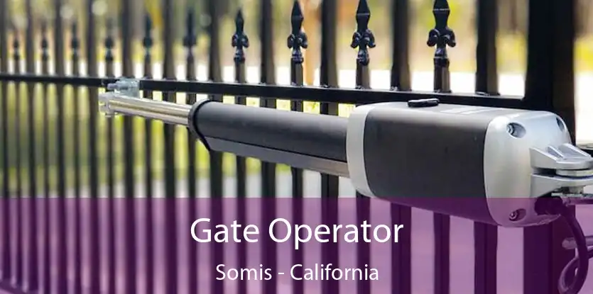 Gate Operator Somis - California