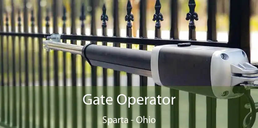 Gate Operator Sparta - Ohio