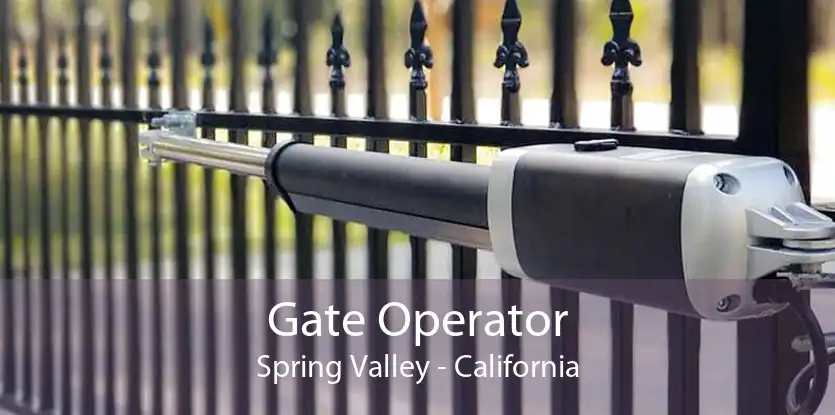 Gate Operator Spring Valley - California