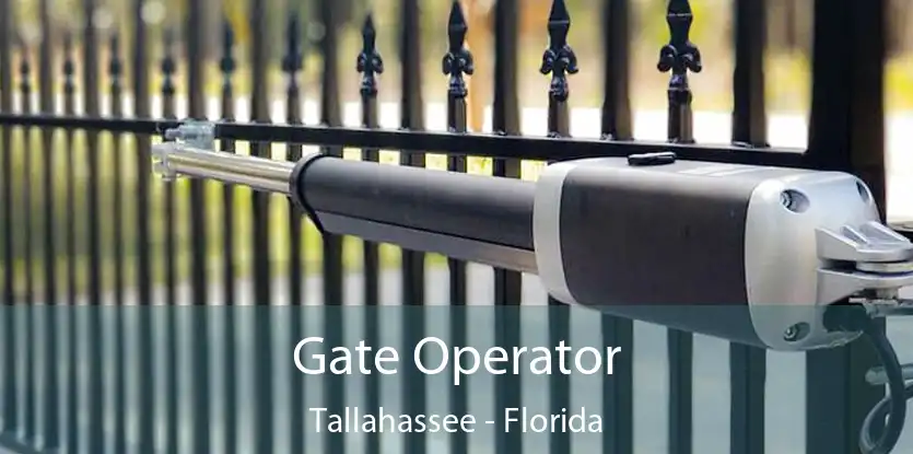 Gate Operator Tallahassee - Florida