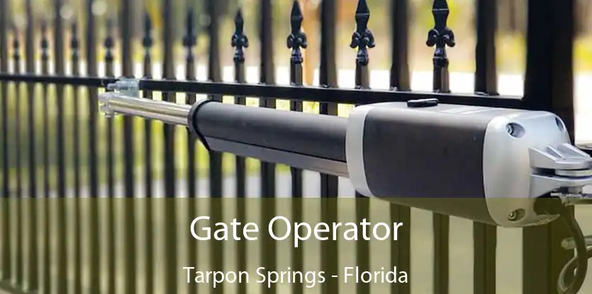 Gate Operator Tarpon Springs - Florida