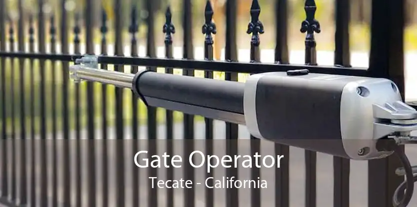 Gate Operator Tecate - California