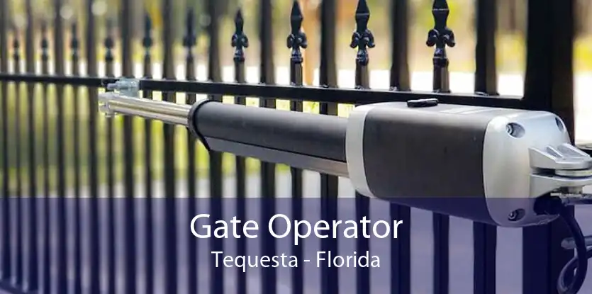 Gate Operator Tequesta - Florida