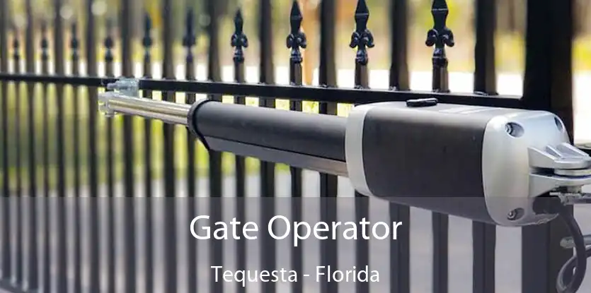 Gate Operator Tequesta - Florida