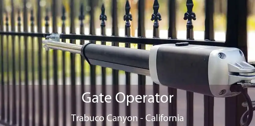 Gate Operator Trabuco Canyon - California