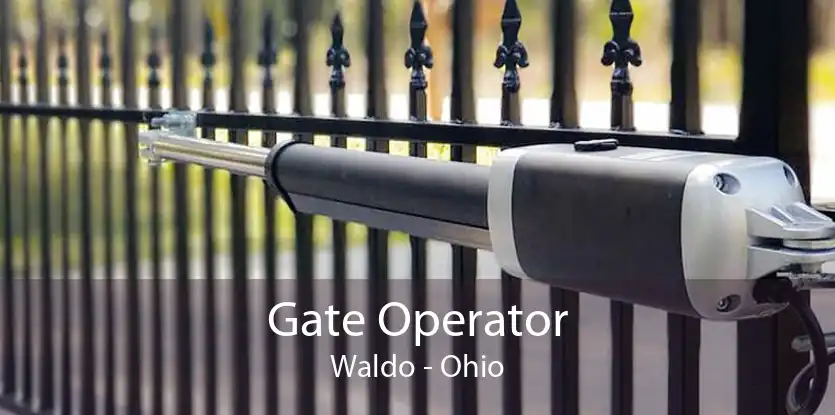 Gate Operator Waldo - Ohio