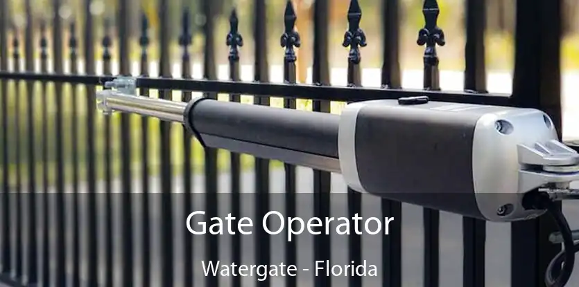 Gate Operator Watergate - Florida