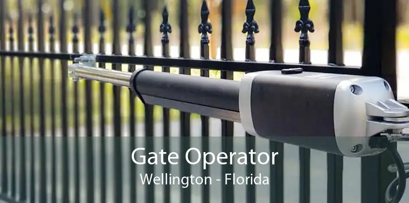 Gate Operator Wellington - Florida