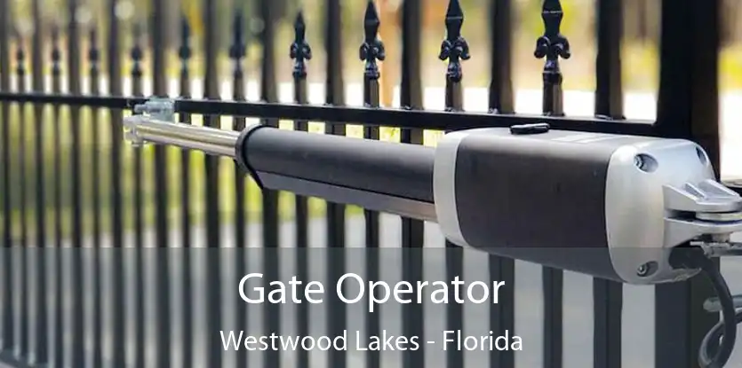 Gate Operator Westwood Lakes - Florida