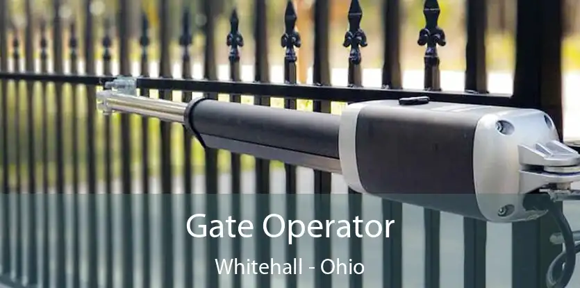 Gate Operator Whitehall - Ohio