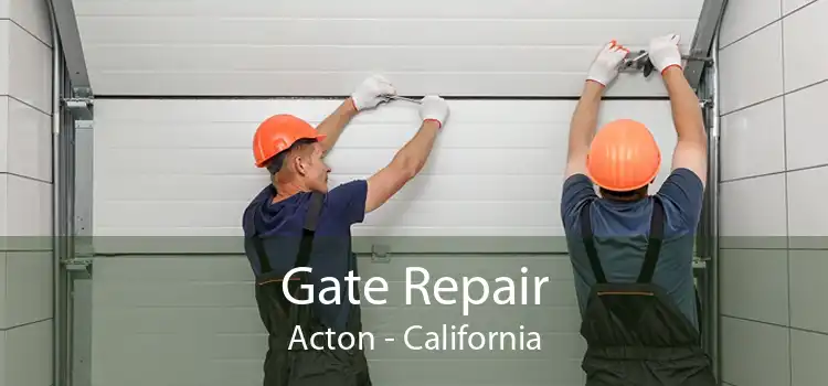 Gate Repair Acton - California