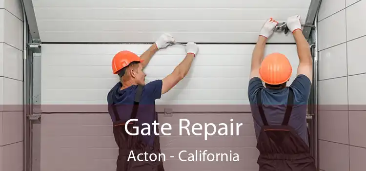 Gate Repair Acton - California