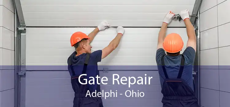 Gate Repair Adelphi - Ohio