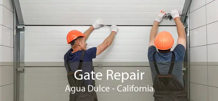 Gate Repair Agua Dulce - California