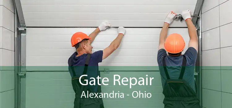 Gate Repair Alexandria - Ohio