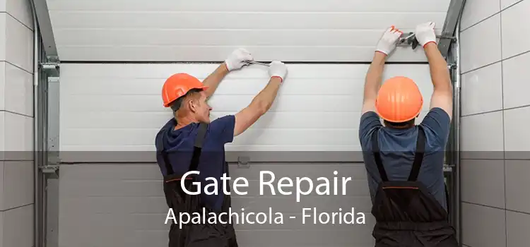Gate Repair Apalachicola - Florida