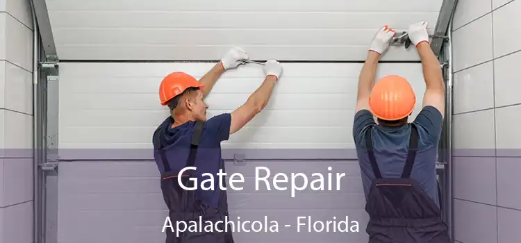 Gate Repair Apalachicola - Florida