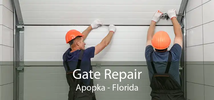 Gate Repair Apopka - Florida
