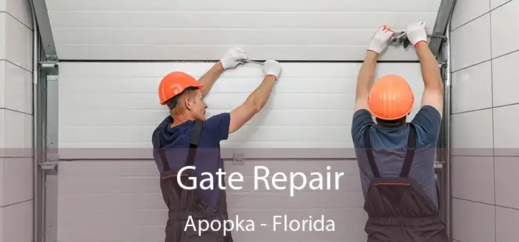 Gate Repair Apopka - Florida