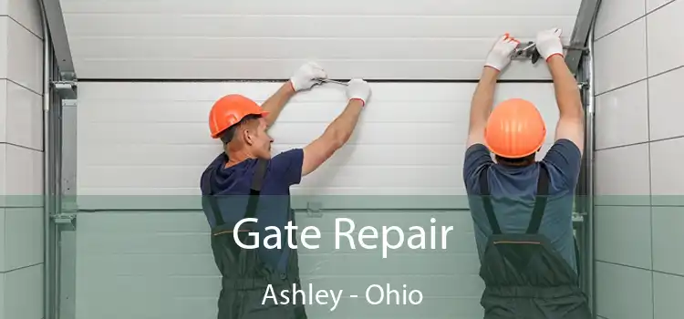 Gate Repair Ashley - Ohio