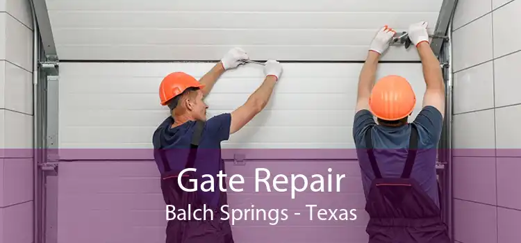 Gate Repair Balch Springs - Texas