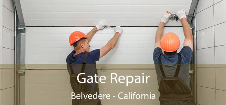 Gate Repair Belvedere - California