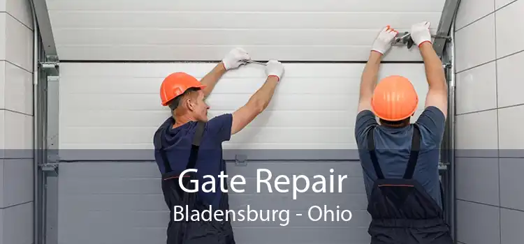 Gate Repair Bladensburg - Ohio