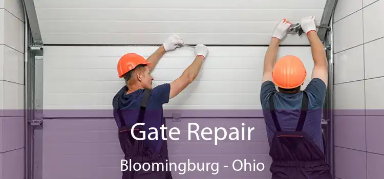 Gate Repair Bloomingburg - Ohio