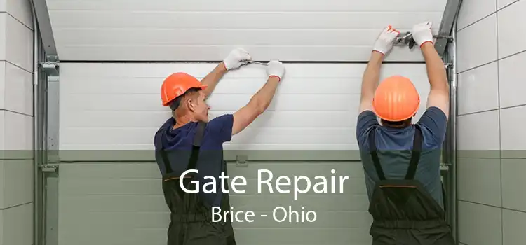 Gate Repair Brice - Ohio